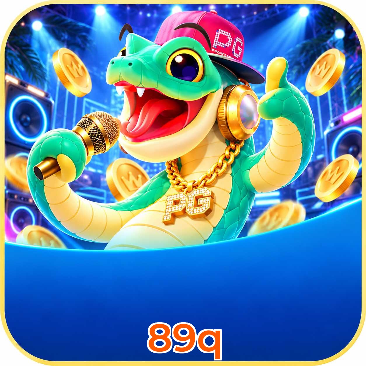 89q FAQ
