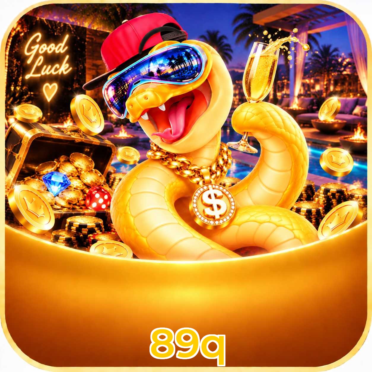89q FAQ