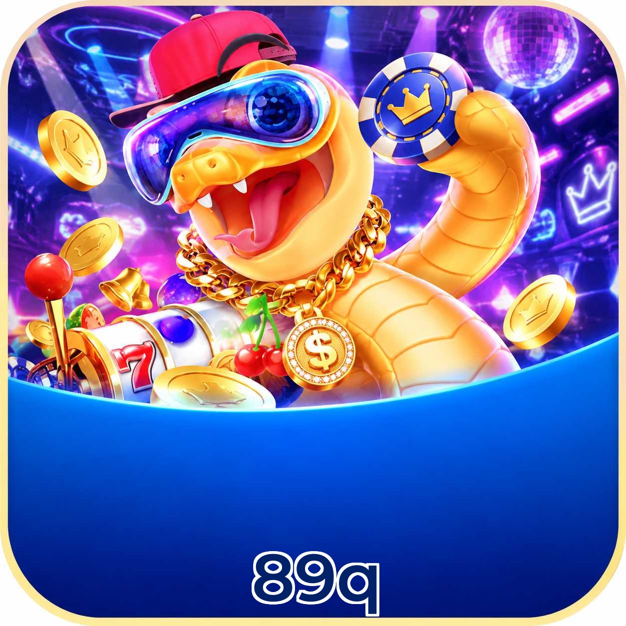 89q System Requirements